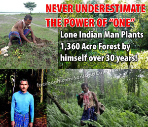 Lone Indian Man Plants Forest