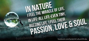 I Am the Self