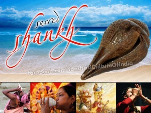 Religious & Scientific Significance of a Conch (Shankh)
