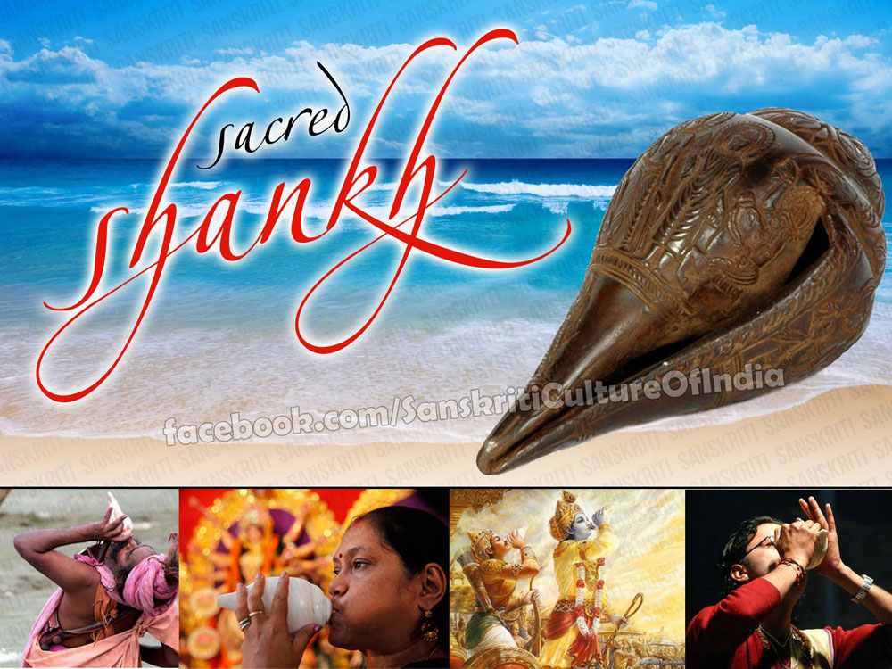 Religious & Scientific Significance of a Conch (Shankh)