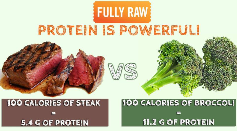 MEAT VS VEG