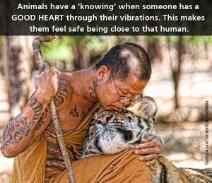 Animals have wisdom beyond our understanding!