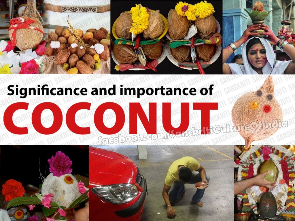 Importance and Significance of Coconut!