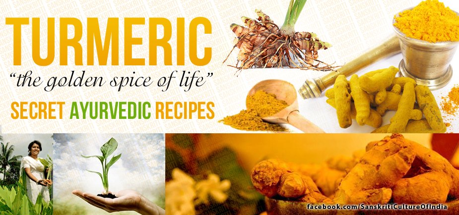 Turmeric, also known as Haridra in Sanskrit and Haldi in Hindi,