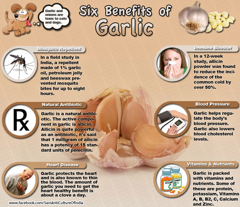 Six benefits of GARLIC!!