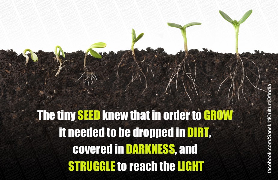 Success is never easy or without journey
