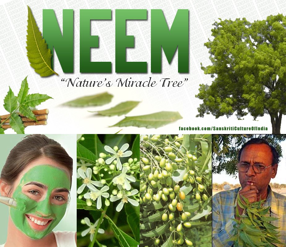 Neem - Nature's miracle tree...