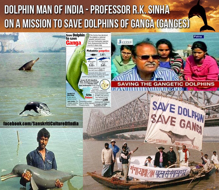 Saving Ganga Dolphins, one at a time