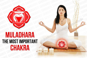 Muladhara (Root)– The Most Important Chakra