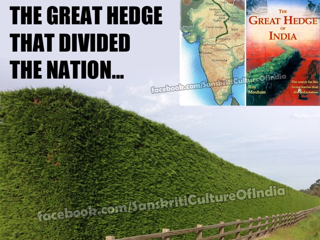 Hedge that divided the India