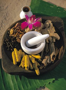 ayurveda