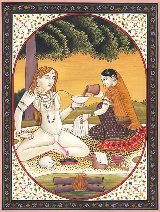 Why does Lord Shiva drink bhang?