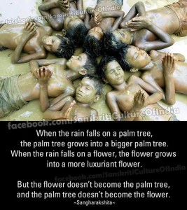 rain