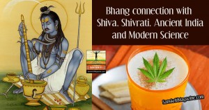 shiva-bhang