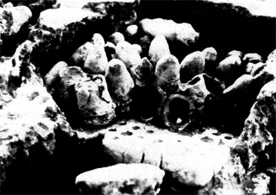 Ancient Zinc smelting furnaces found in Zawar, India