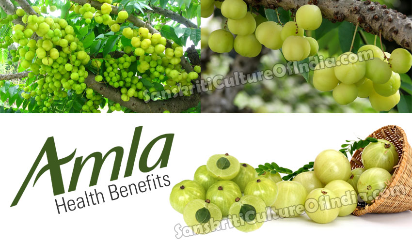 amla