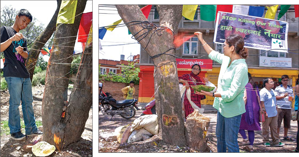 (left) incense is offered at the base of this young man’s tree which is posted with a yellow printed plea to stop the cutting; (right) sindoor powder from a tapari leaf bowl is thrown upon this tree, whose companion has already been cut down