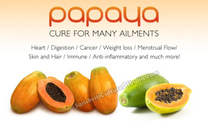 Papaya - Cure For Many Ailments