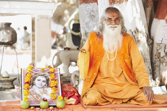 yogi