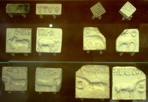 IndusValleySeals