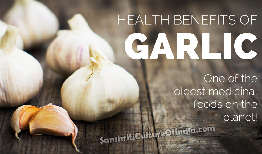 garlic