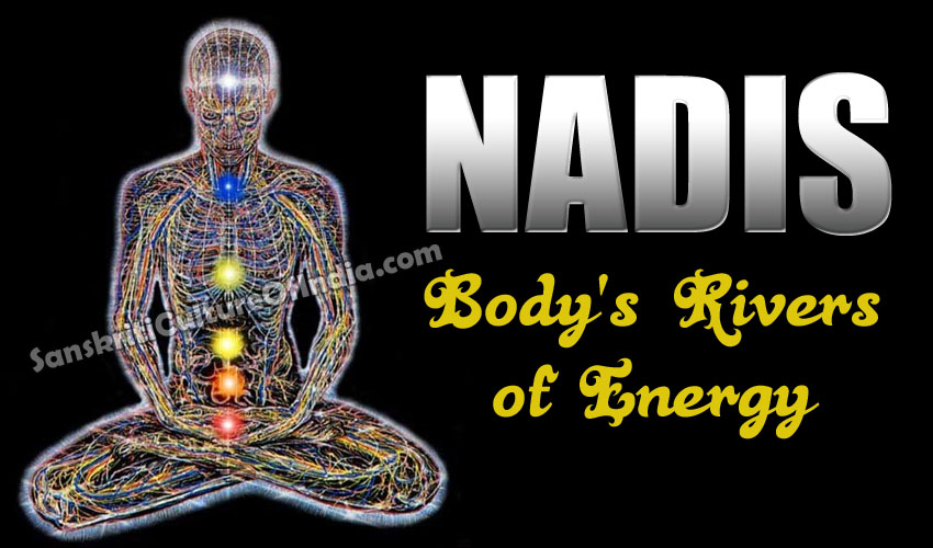 nadi