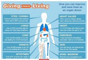 organ donation Infographic (1)