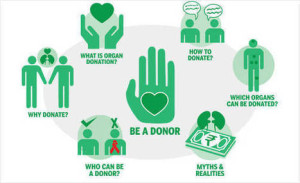 organ donation