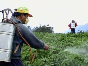 pesticide_spray