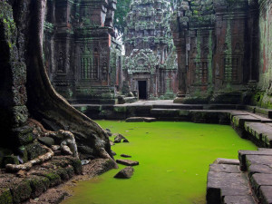 Ta Prohm