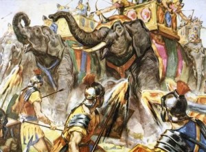 war elephants