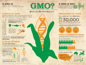 GMO-Fact-sheet
