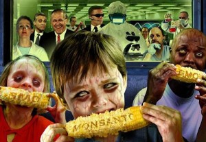 Monsanto GMO