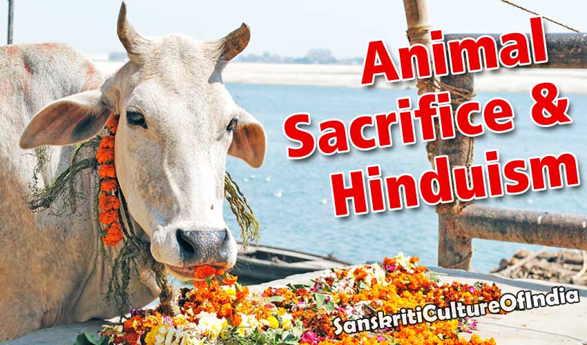 animal_sacrifice