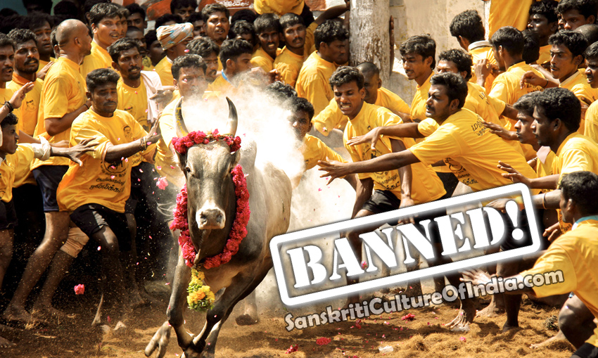 banned bullfight