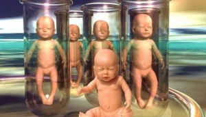 cloned-babies