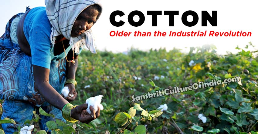 cotton