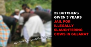 jail for illegally slaughtering cows in Gujarat