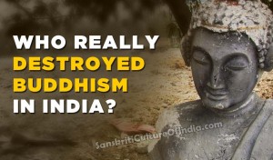 Who really destroyed Buddhism in India