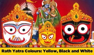 Rath Yatra Colours - Yellow, Black and White