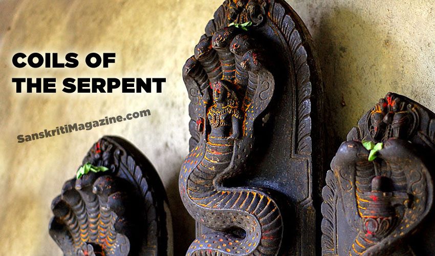 Coils of the serpent