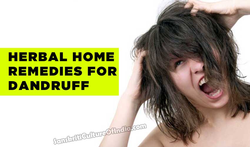 Herbal dandruff treatment