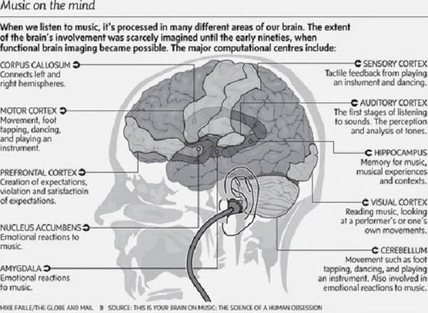 Unlike in real life situations, we don’t feel any real threat or danger when listening to music, so we can perceive the related emotions without truly feeling them—almost like vicarious emotions.