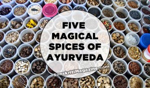 five-spices-ayurveda