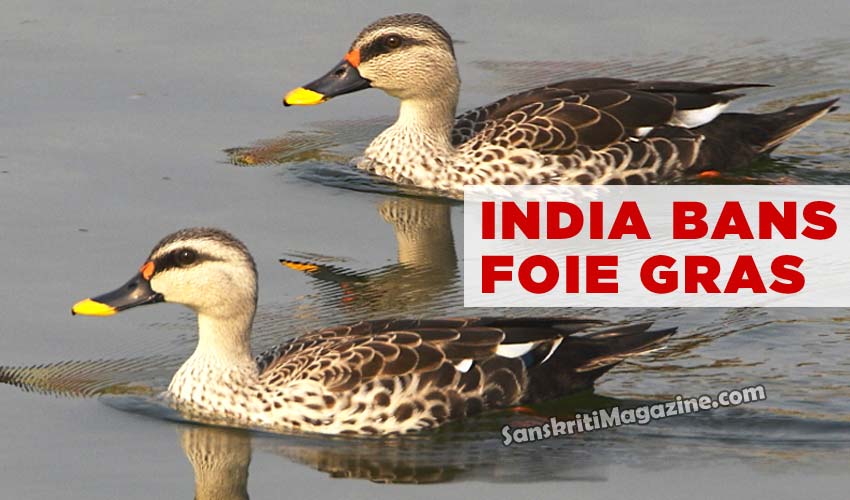 India Bans Foie Gras Sanskriti Hinduism and Indian Culture site
