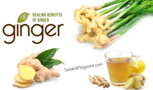 Healing benefits of Ginger