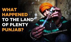 what happened to the land of plenty Punjab