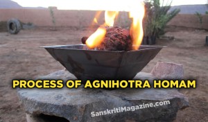 Process of Agnihotra Homam