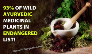 93% of wild Ayurvedic medicinal plants in endangered list