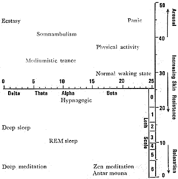 brainwave pattern